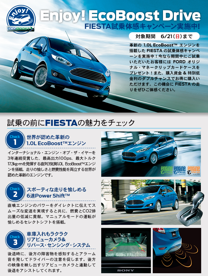 fiesta キャンペーン